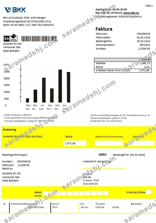 Norway BKK electricity business utility bill template in Word and PDF formats, good for address prove